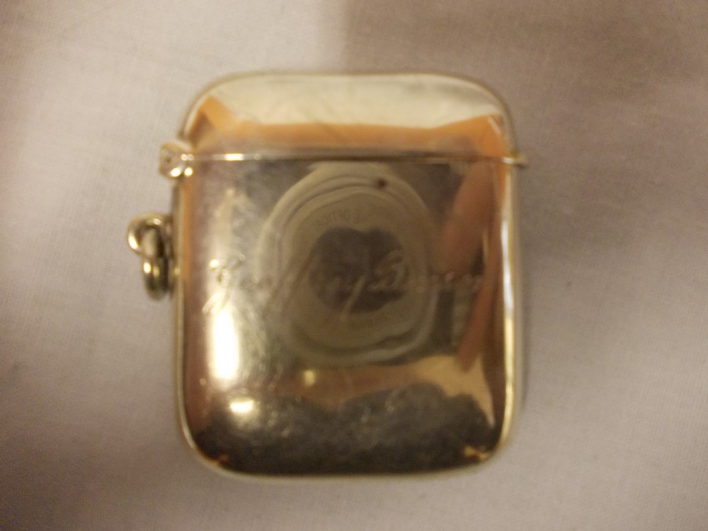 silver vesta case